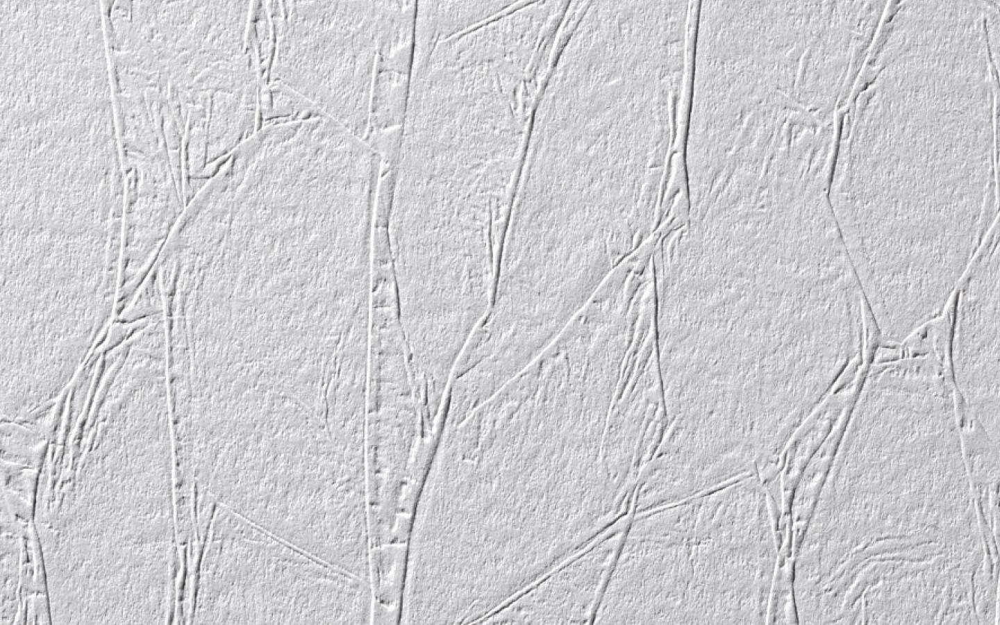 Erfurt Vliestapete Protect 200 weiß B/L: ca. 53x1005 cm