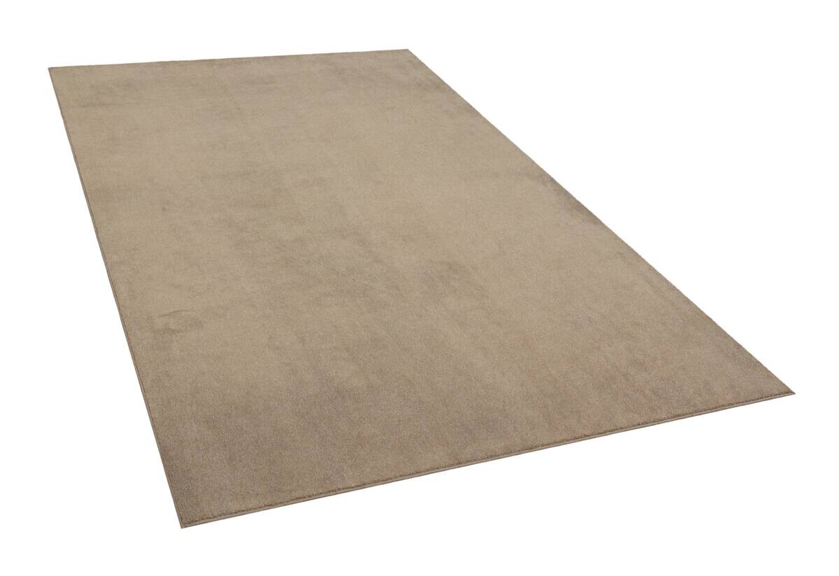 Teppich Flanell taupe B/L: ca. 120x160 cm