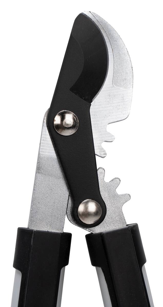 Astschere L: ca. 41 cm