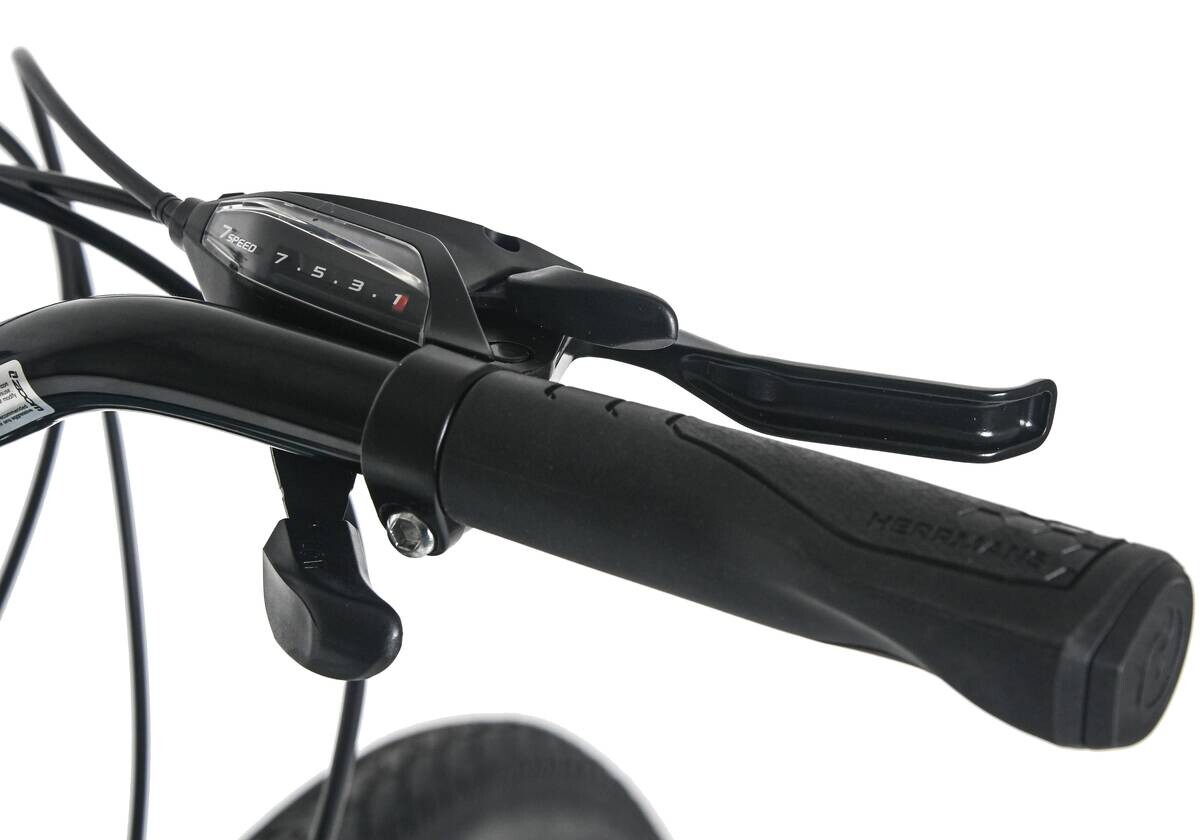 DaCapo Trekking-Bike Ravenna 50 28 Zoll Rahmenhöhe 48 cm 21 Gänge grün grün ca. 28 Zoll