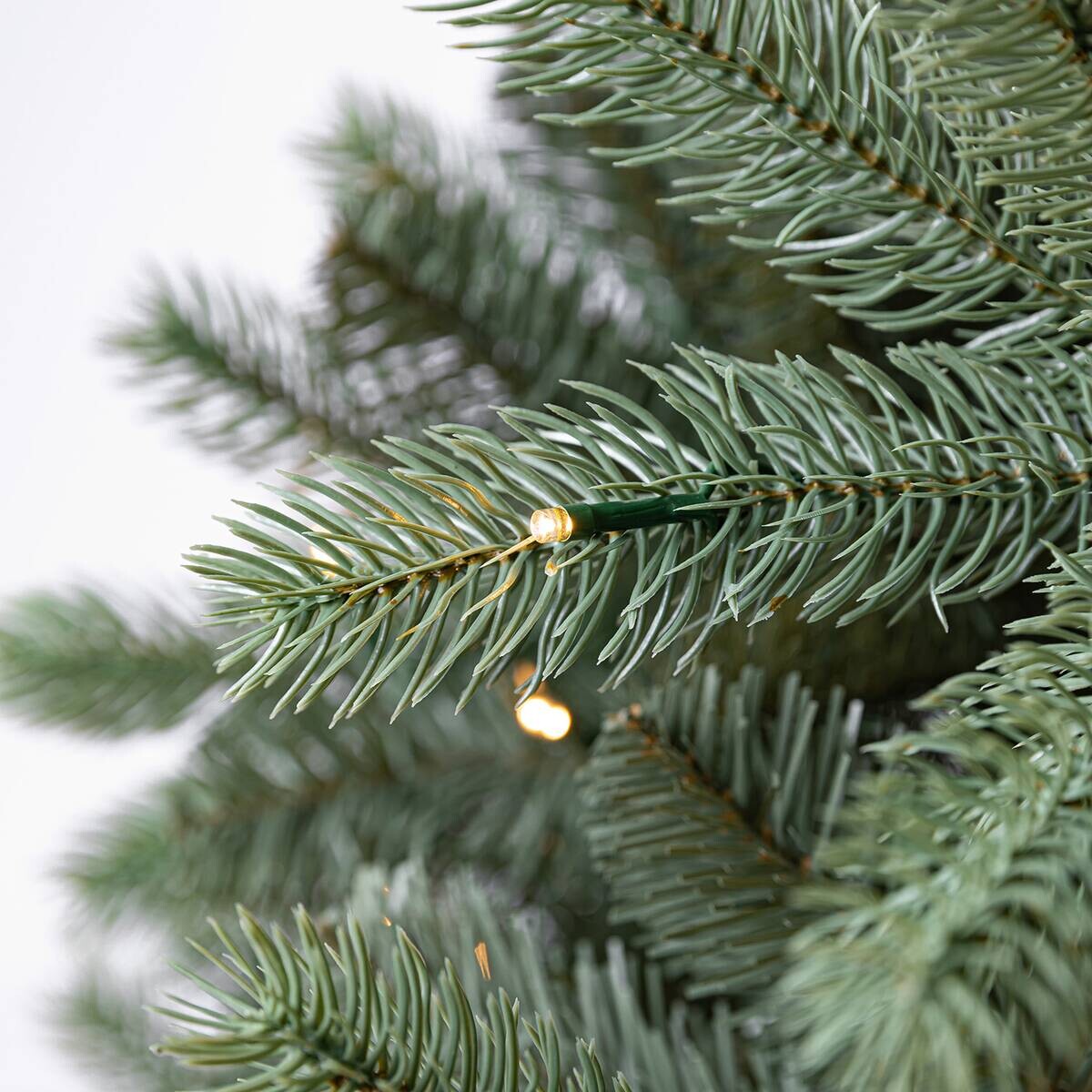 Evergreen Weihnachtsbaum Vermont Fichte