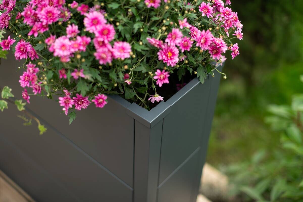 Westmann Pflanzkasten Talus anthrazit Metall B/H/T: ca. 100x77x25 cm