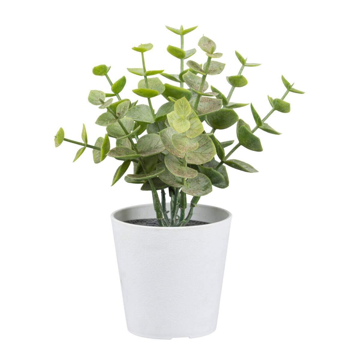 Kunstpflanze Eukalyptus grün Kunststoff H: ca. 15 cm