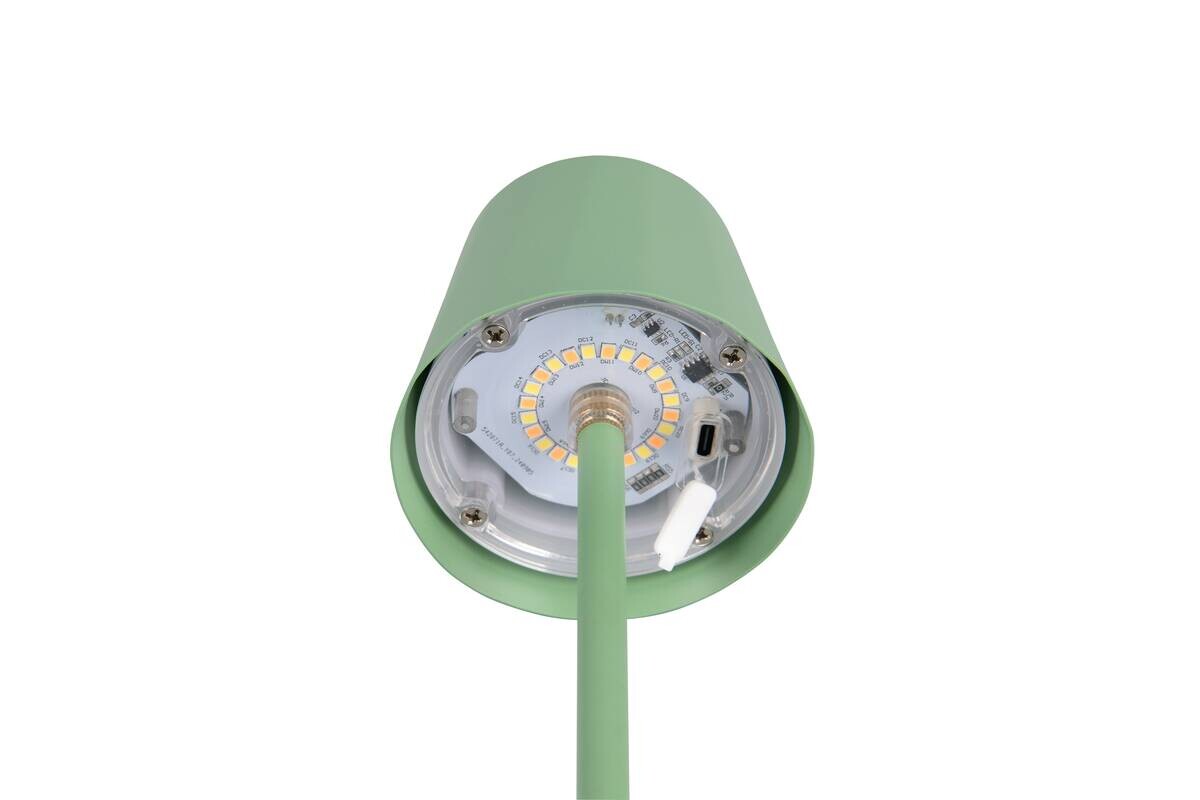 Reality LED Tischleuchte DIAZ Pistazie Metall H: ca. 21 cm 1 Brennstellen