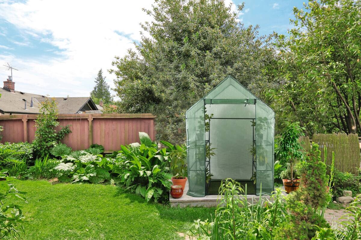 Kinzo Gewächshaus B/H/L: ca. 73x195x143 cm