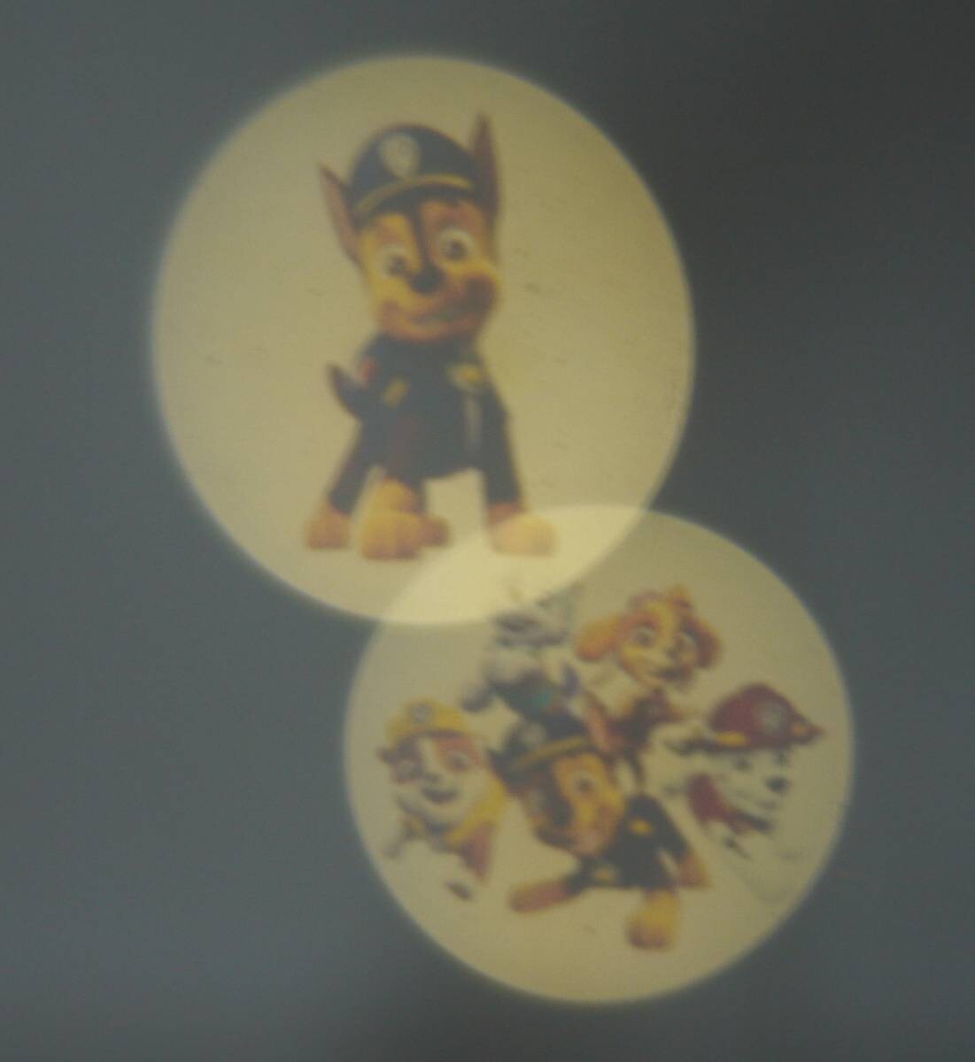 Niermann Stecker-Nachtlicht Paw Patrol dunkelblau rot Kunststoff