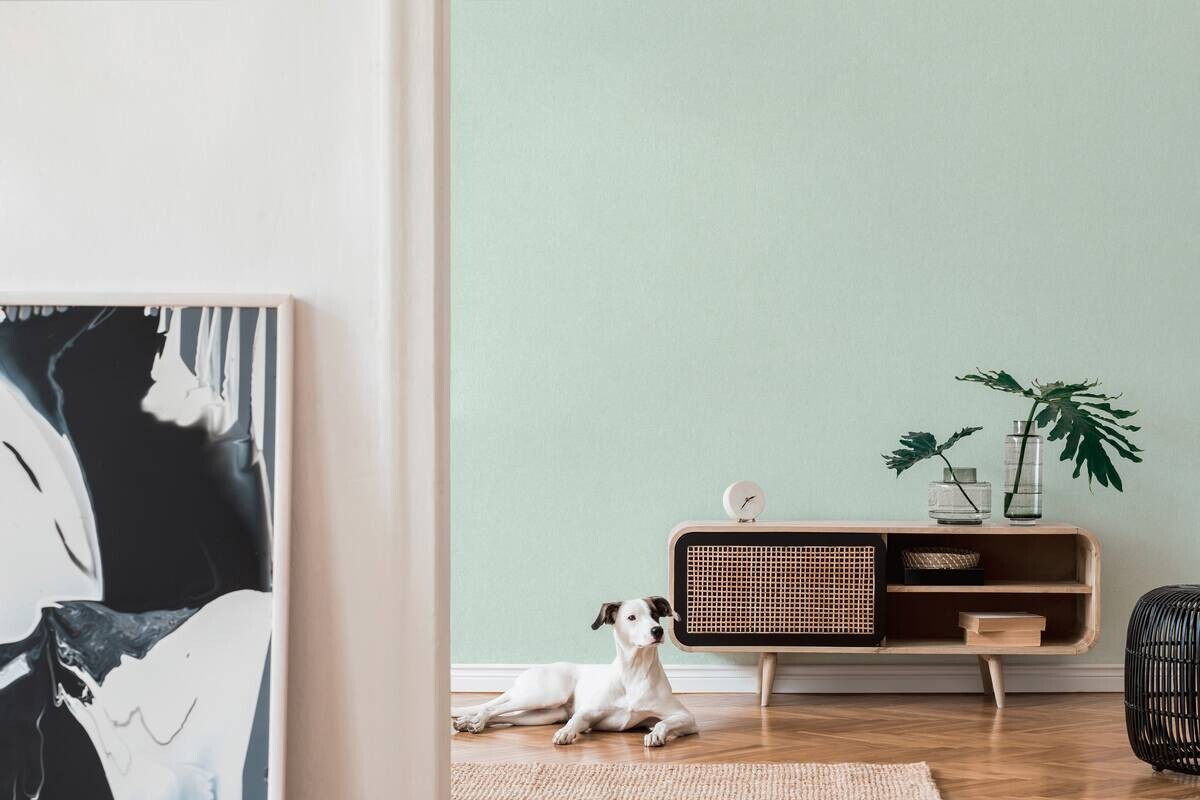 A.S.Creation Vliestapete Attractive 2 Uni grün B/L: ca. 53x1005 cm