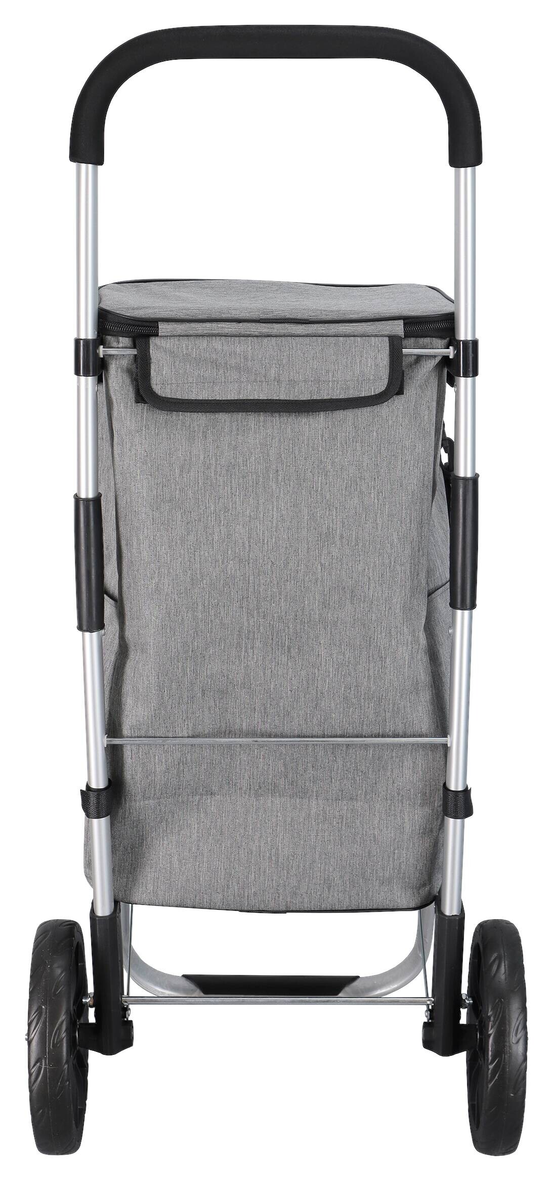 POCOline Einkaufstrolley grau Aluminium B/H/L: ca. 100x43x38 cm