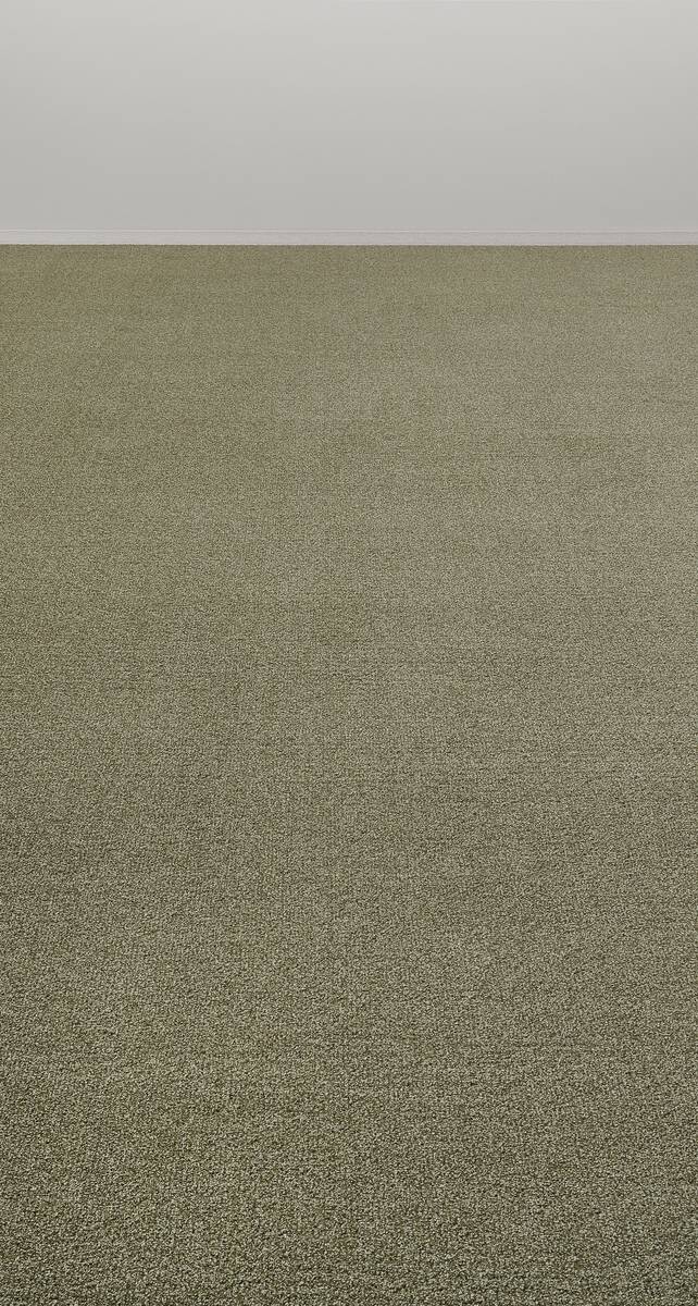 Teppichboden Java grün B: ca. 500 cm pro m²