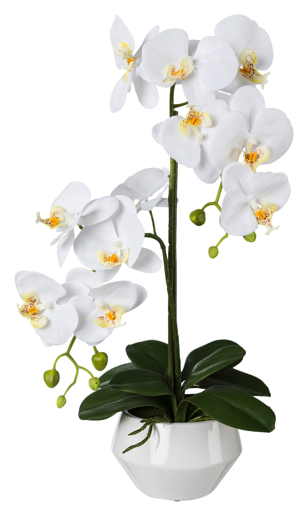 Orchidee weiß Kunststoff H: ca. 52 cm