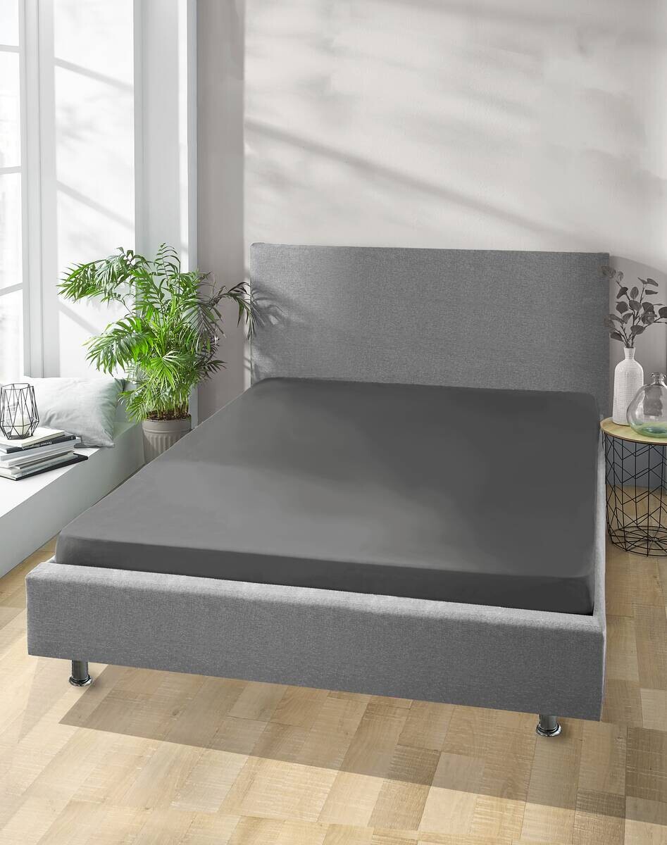 Jersey Spannbetttuch Graphit Baumwolle B/H/L: ca. 150x28x200 cm