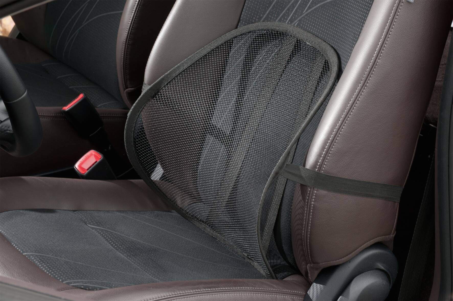 Rückenlehne B/H/L: ca. 12x42x42 cm