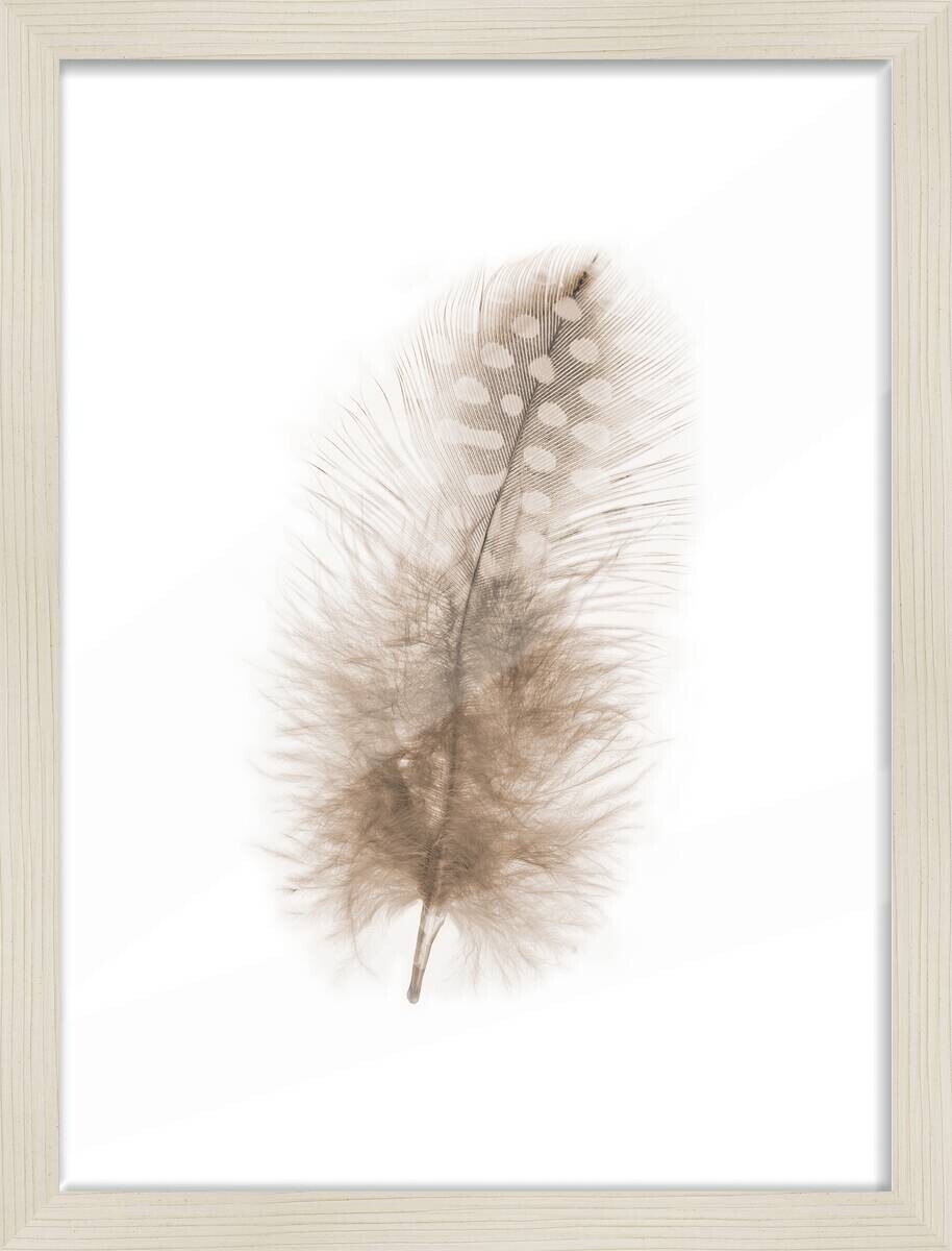 Bilderrahmen weiß Eiche H/L: ca. 30x40 cm