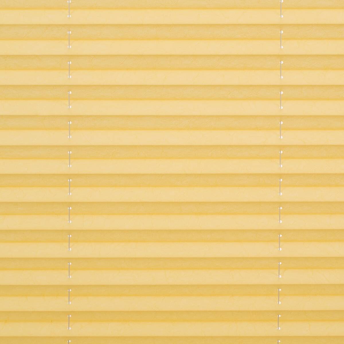 LICHTBLICK Spannplissee gelb B/L: ca. 95x130 cm