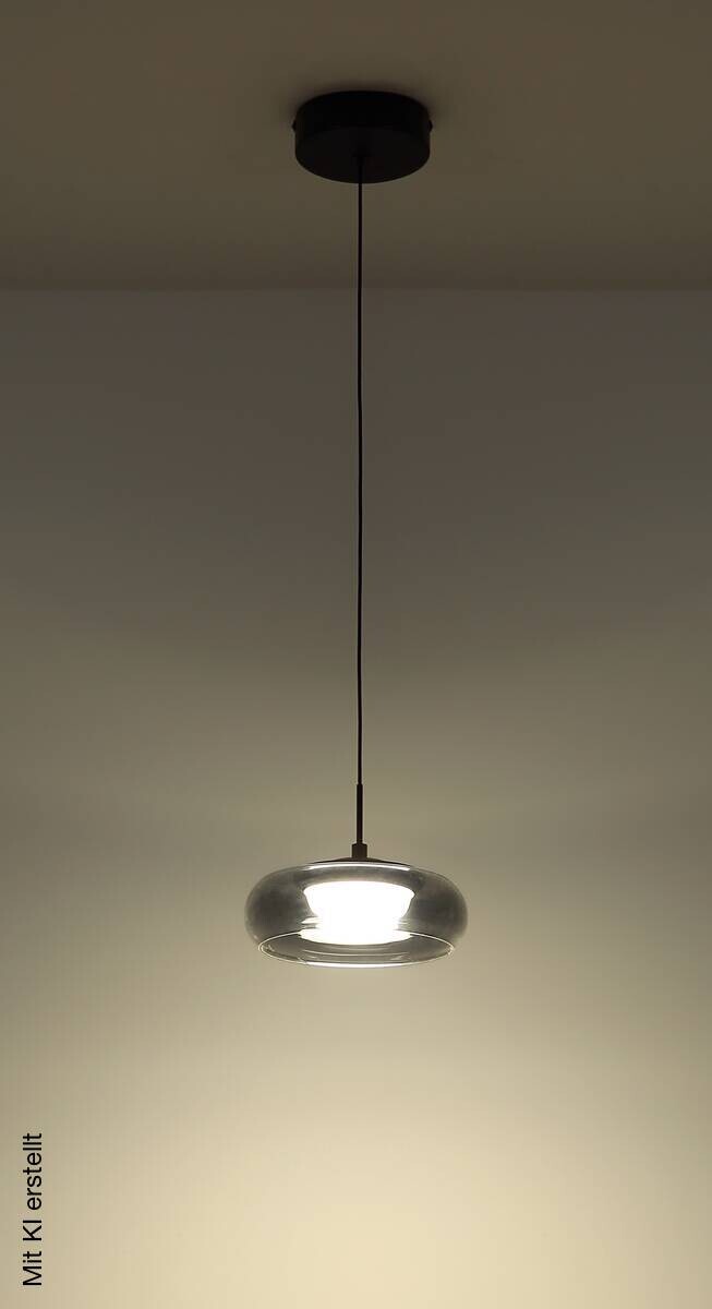 GLOBO Hängeleuchte schwarz Rauch Glas Metall B/H/L: ca. 26x18x26 cm