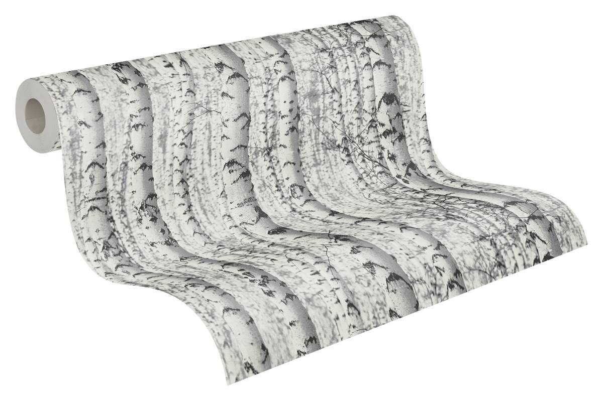 A.S.Creation Vliestapete Waldin Birkenwald schwarz weiß B/H: ca. 0,53x10,05 cm
