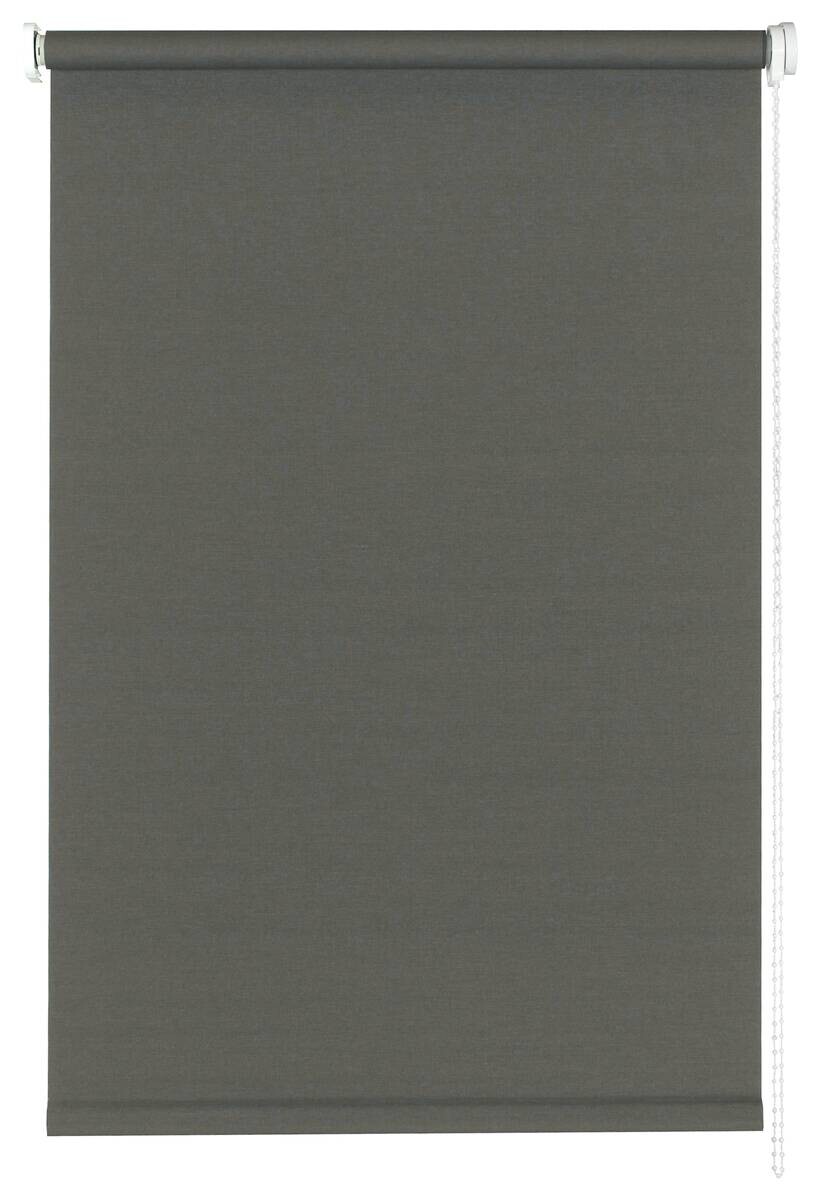Sensation Klebe-/Klemmrollo grau B/L: ca. 45x150 cm