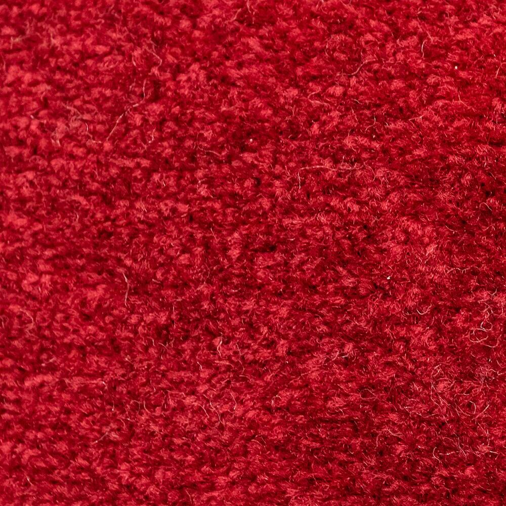 Schmutzfangmatte Alpha rot B/L: ca. 80x120 cm