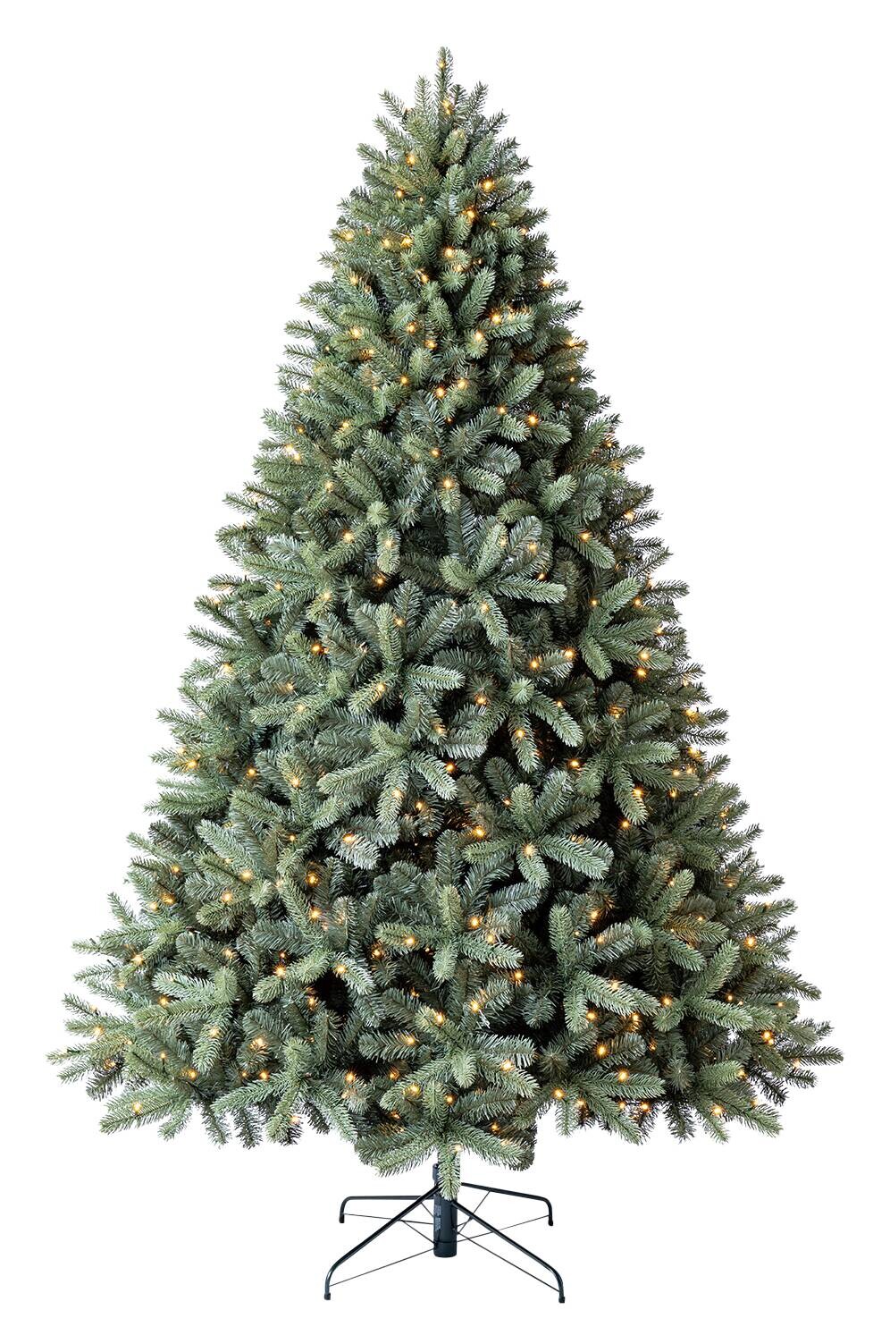 Evergreen Weihnachtsbaum Vermont Fichte