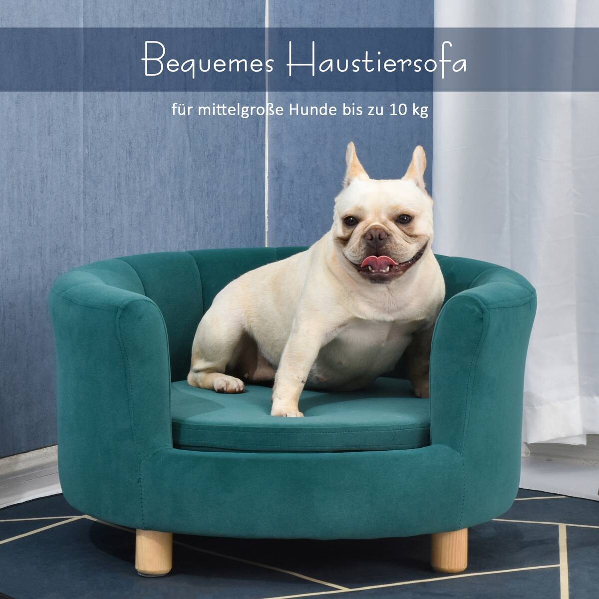 PawHut Hundesofa grün Schaumstoff B/H/L: ca. 65x37x64 cm