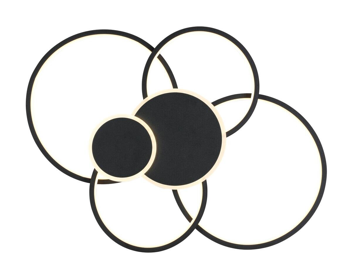 Nolo LED-Deckenleuchte Ring schwarz Metall B/H/L: ca. 46x10x65 cm