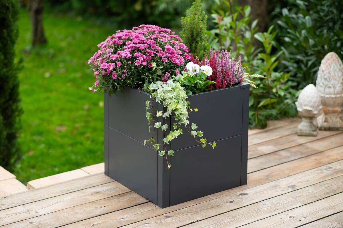 Westmann Pflanzkasten Talus anthrazit Metall B/H/L: ca. 50x50x50 cm