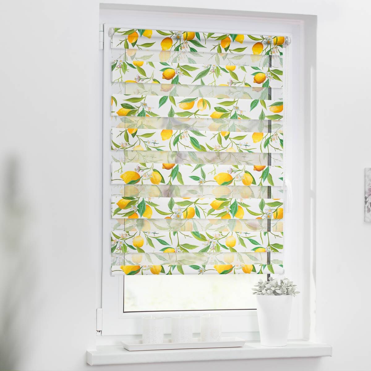 LICHTBLICK Doppelrollo Duo Limone gelb B/T: ca. 70x150 cm