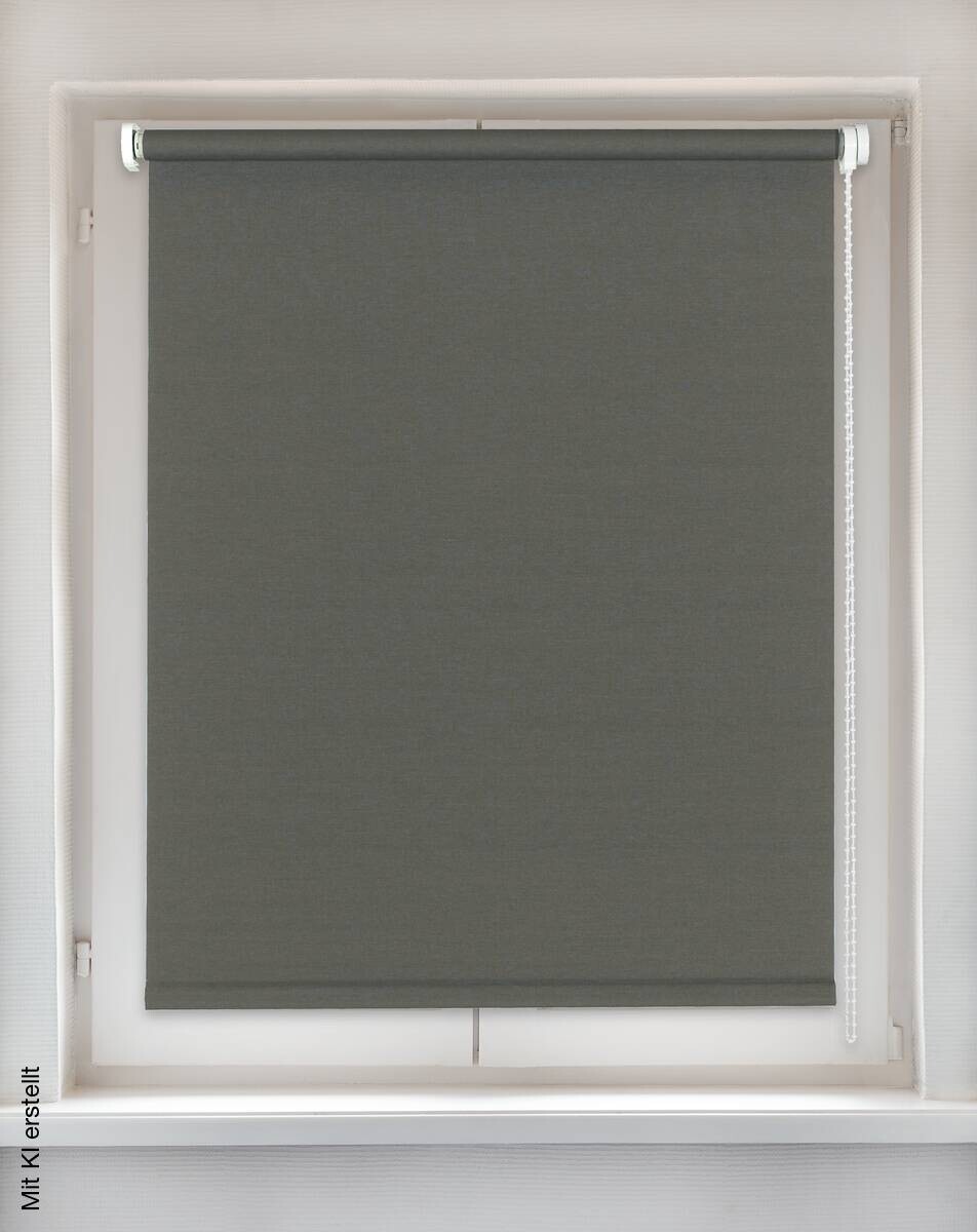 Sensation Klemmrollo Champion grau B/L: ca. 75x150 cm