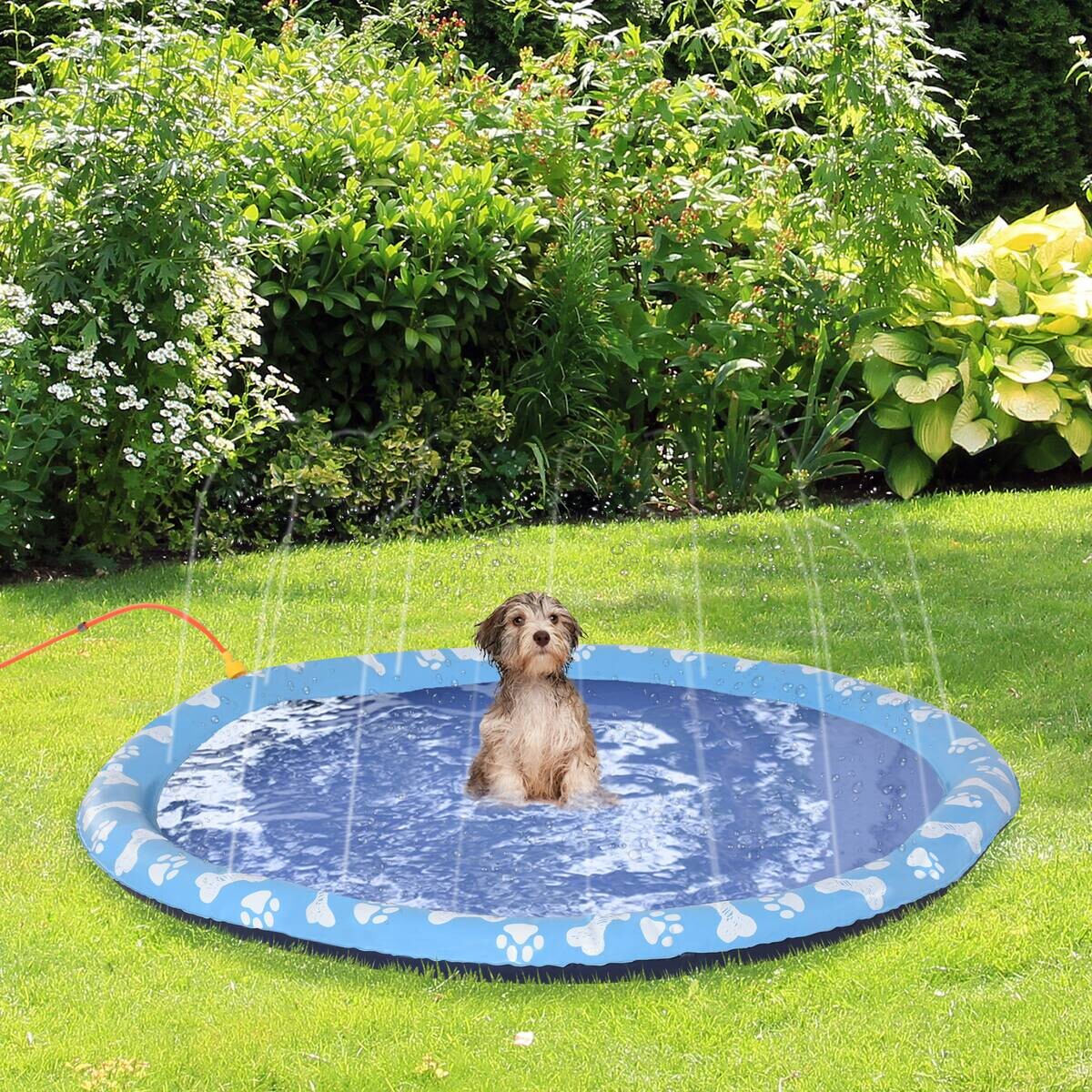 PawHut Hunde-Planschbecken blau Kunststoff B/H/L: ca. 150x1x150 cm