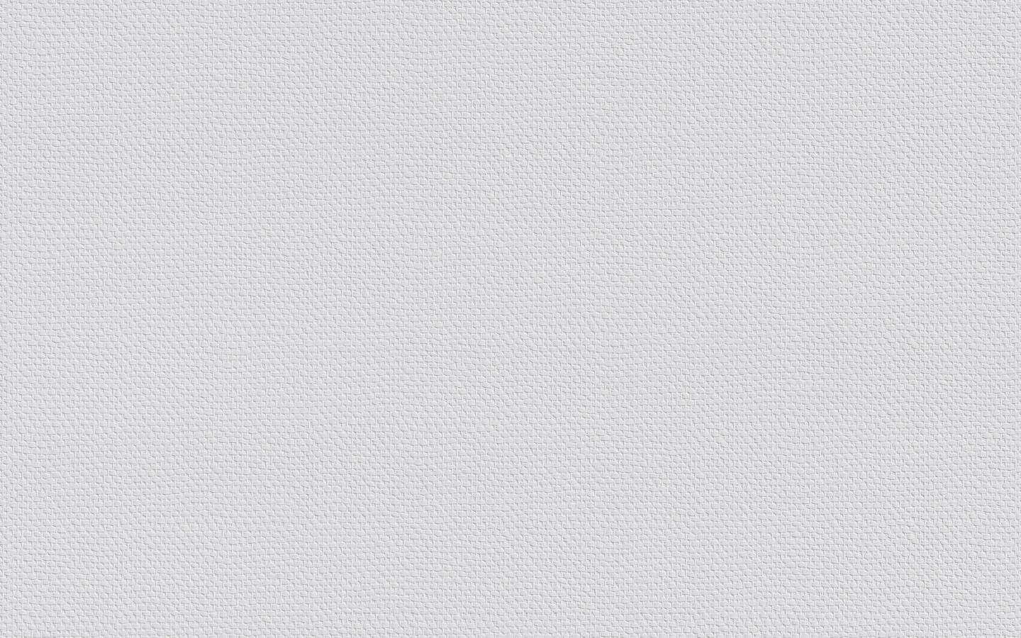 Erfurt Vliestapete Protect 205 weiß B/L: ca. 53x1005 cm