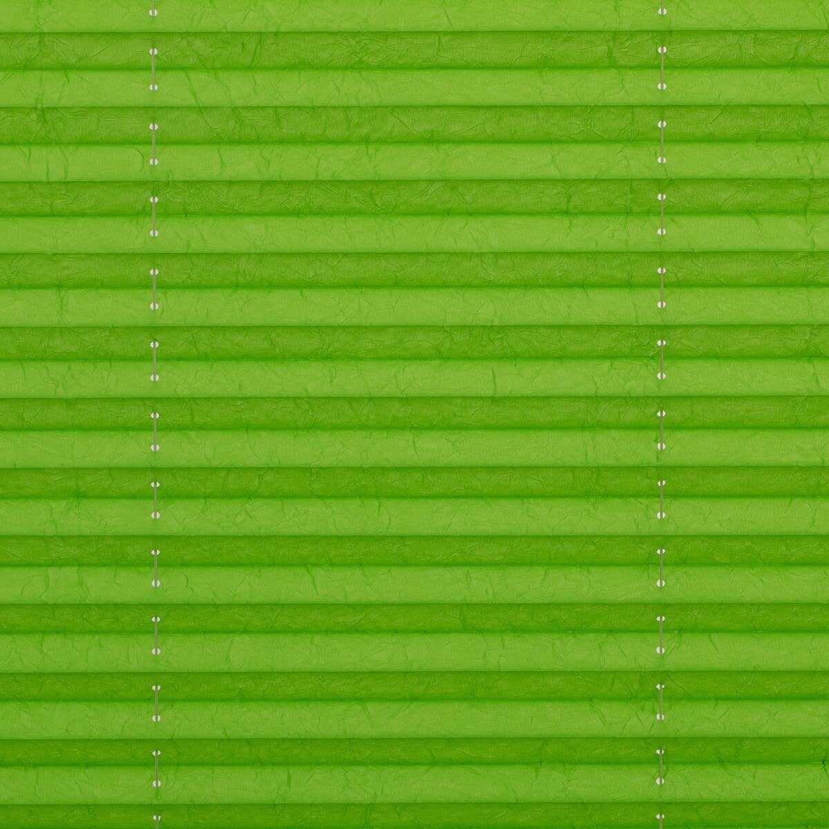 LICHTBLICK Spannplissee grün B/L: ca. 95x130 cm