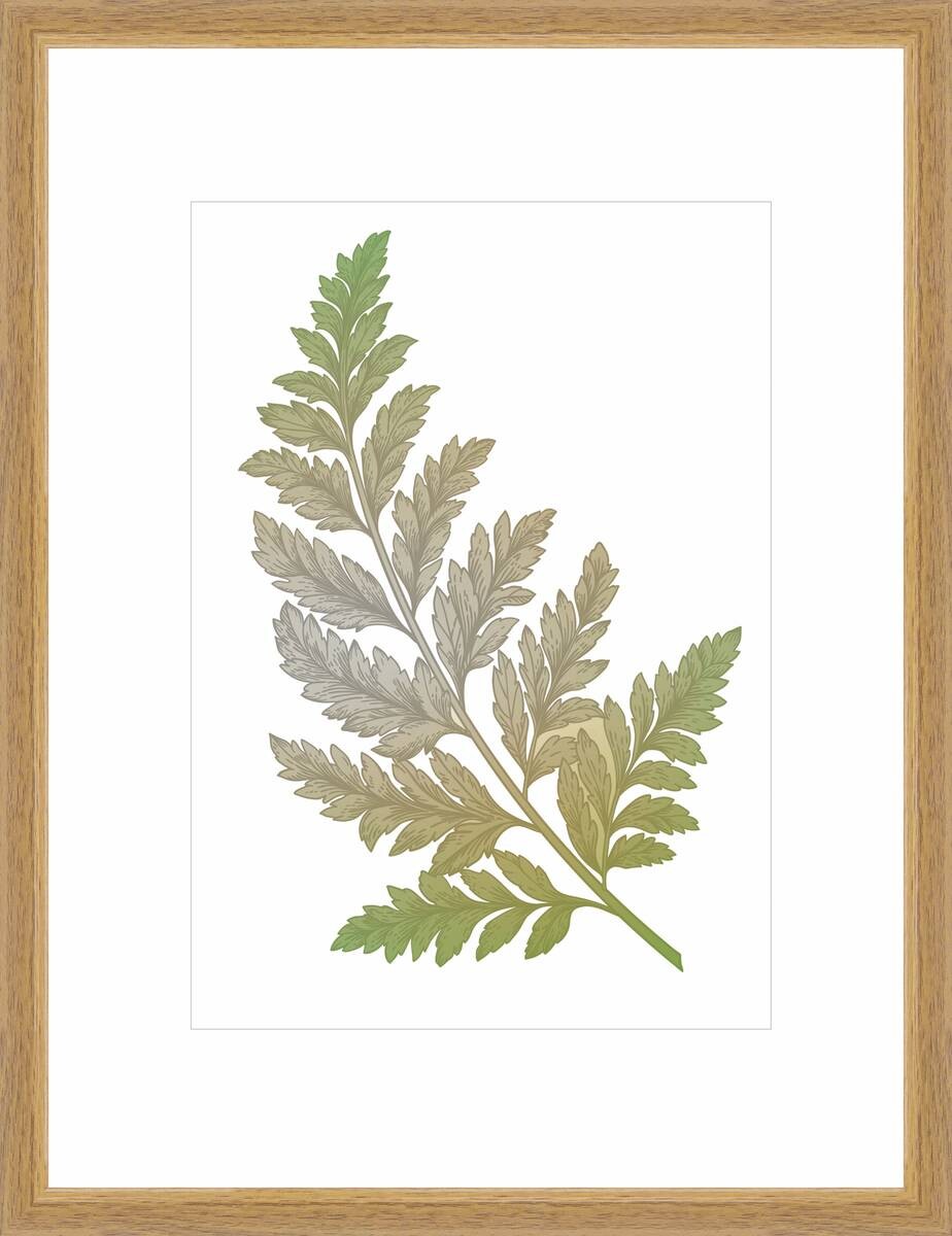 Bilderrahmen Eiche Holz B/H/L: ca. 30x40x2 cm