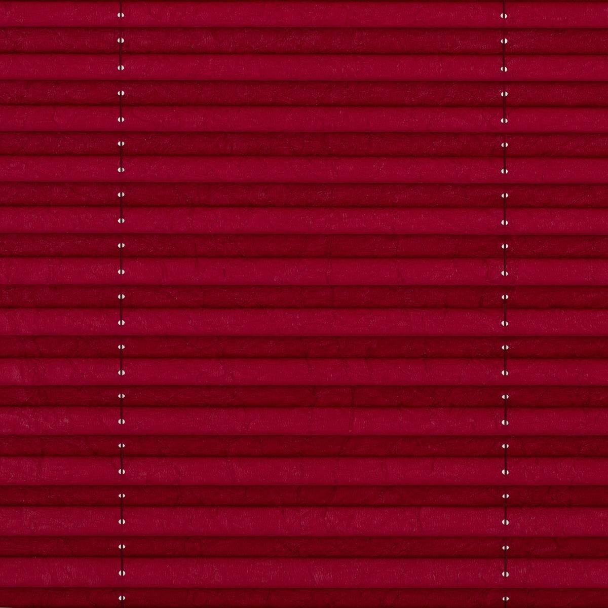 LICHTBLICK Spannplissee brombeer B/L: ca. 90x130 cm