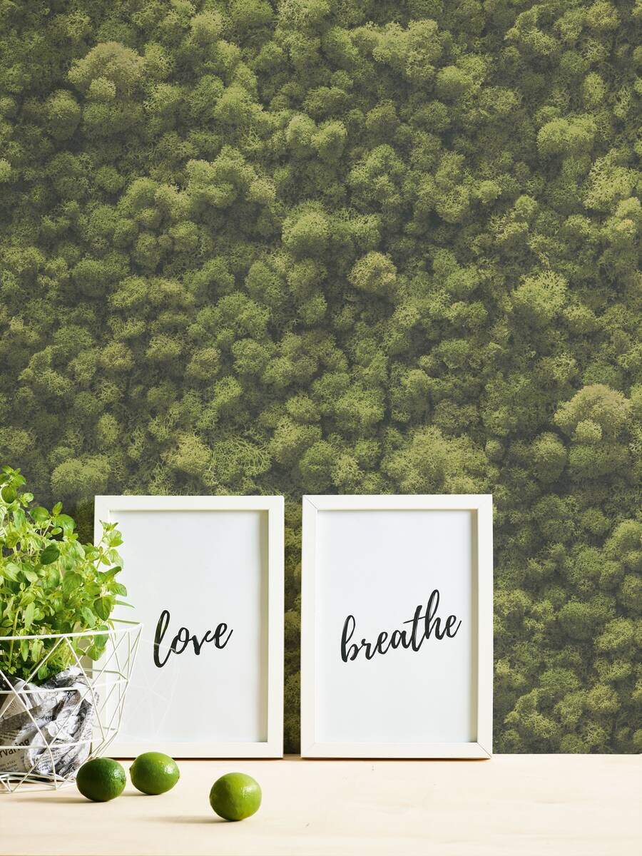 A.S.Creation Vliestapete grün B/H/D: ca. 53x1005x8 cm