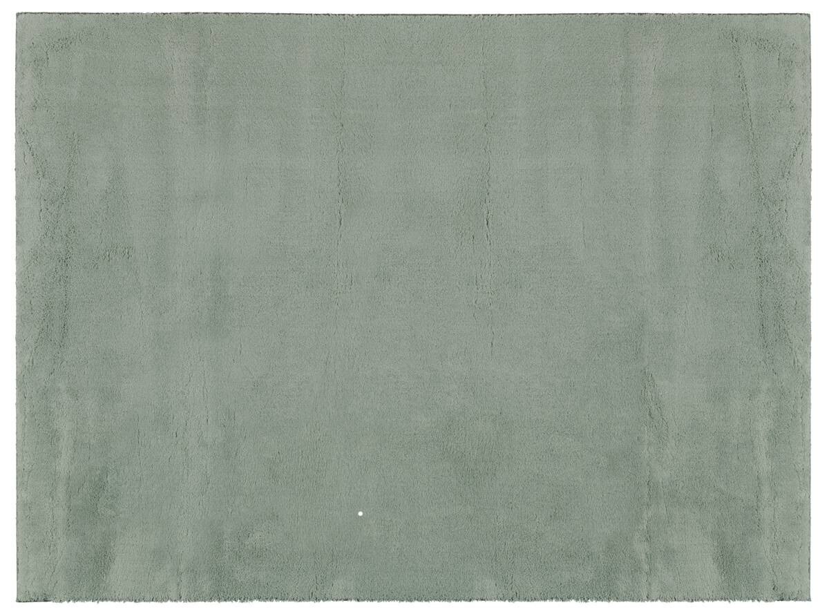 Teppich Loft grün B/L: ca. 240x340 cm