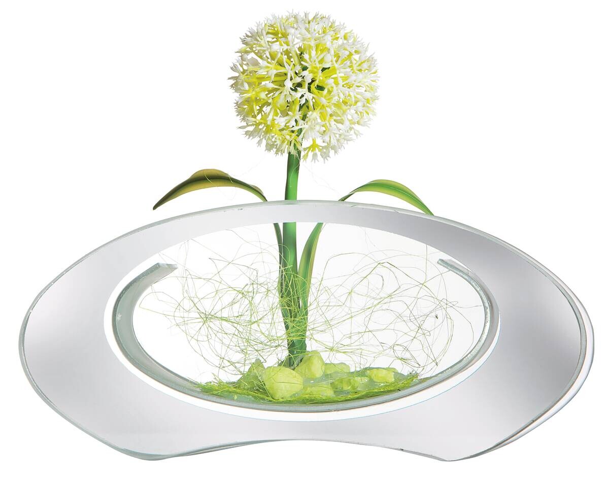 POCOline Vase klar Glas B/H/L: ca. 4x9x8,5 cm