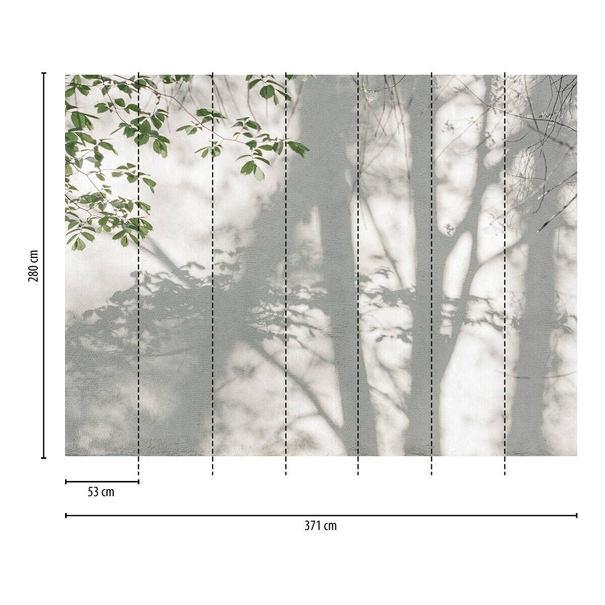 Livingwalls Fototapete Blätter weiß grün B/L: ca. 280x371 cm