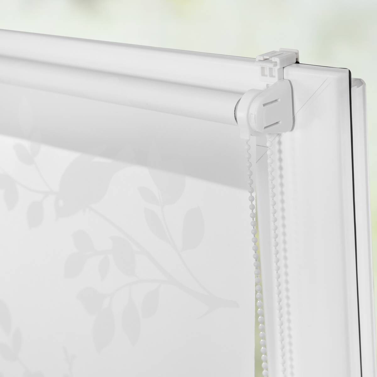 LICHTBLICK Rollo Pflanze weiß B/L: ca. 60x150 cm