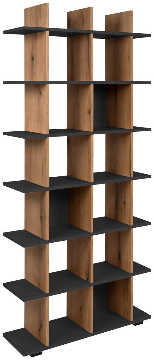 Regal Navas 20A Eiche Artisan Nachbildung anthrazit B/H/T: ca. 80x173x25 cm