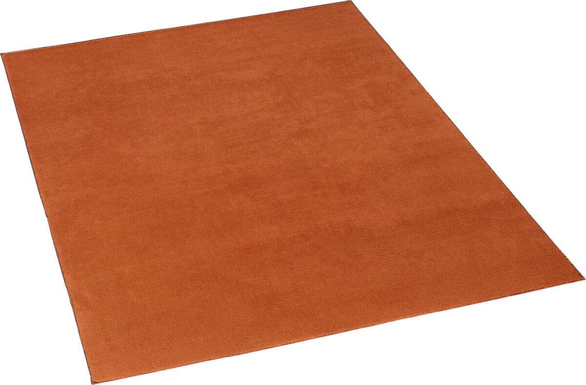 Teppich Casa terra B/L: ca. 115x160 cm