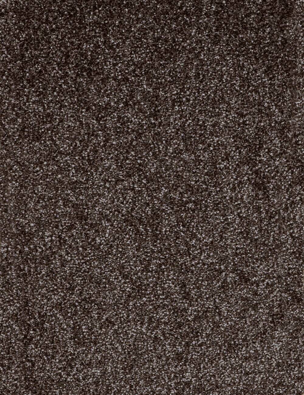 Teppichboden Kent anthrazit B: ca. 400 cm pro m²