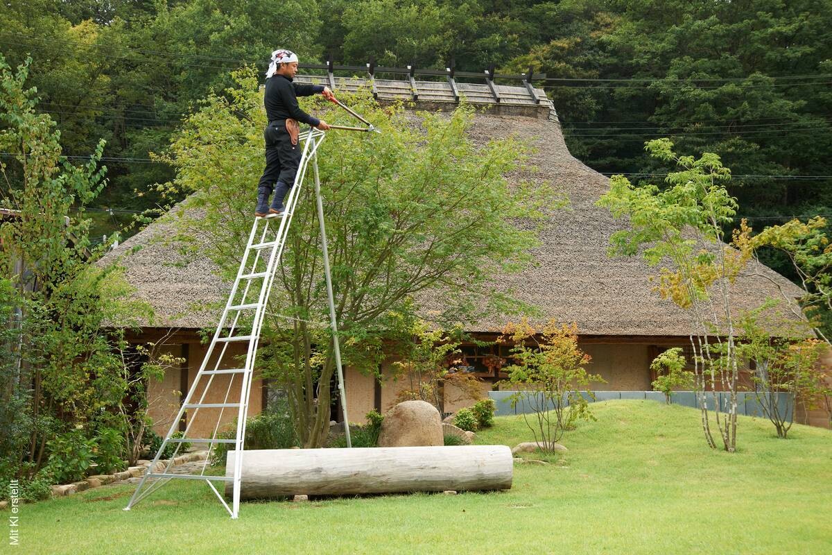 Niwaki Gartenleiter 3-Holm 3-Holm silber B/H: ca. 125x360 cm