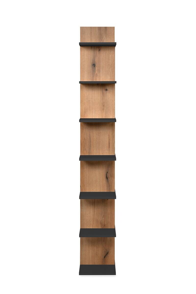 Regal Navas 20A Eiche Artisan Nachbildung anthrazit B/H/T: ca. 80x173x25 cm