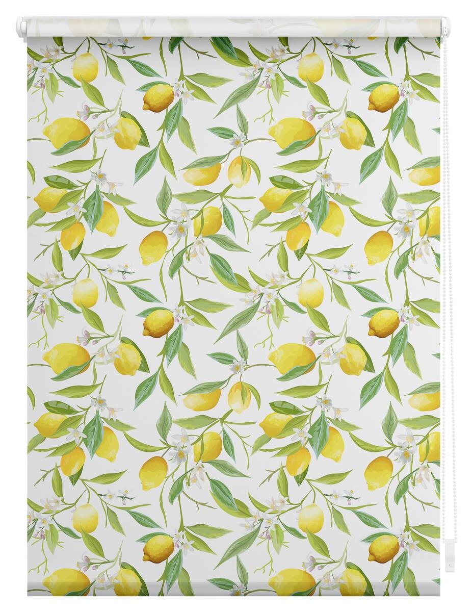 LICHTBLICK Verdunkelungsrollo Limone gelb B/L: ca. 80x150 cm