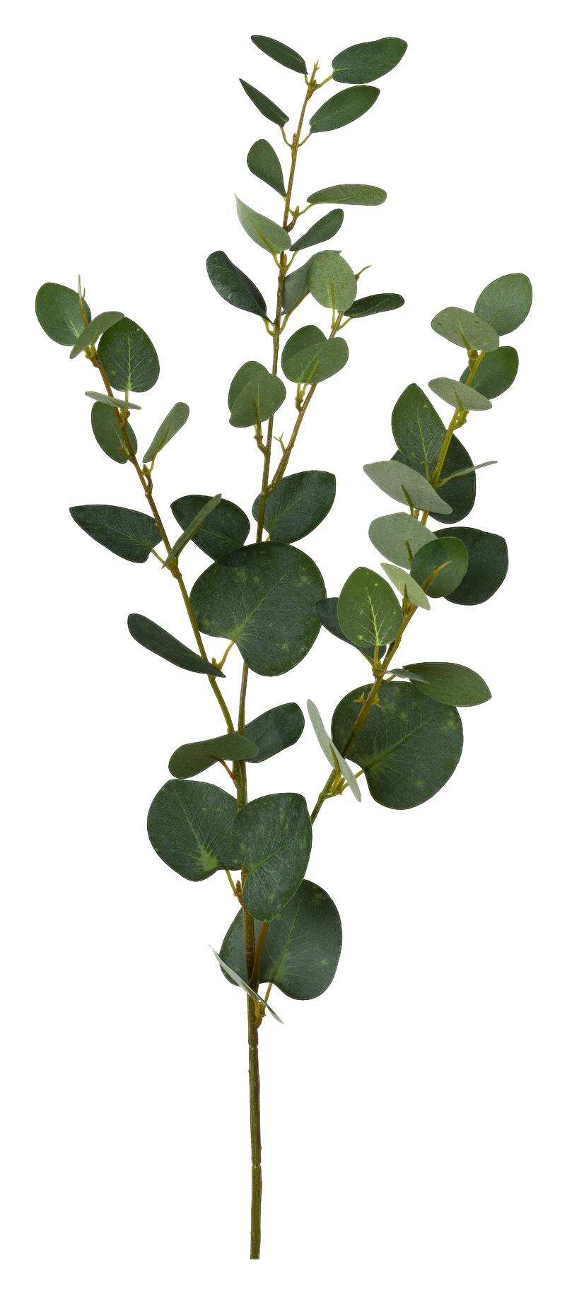 Kunstpflanze Eukalyptuszweig grün Kunststoff H: ca. 79 cm