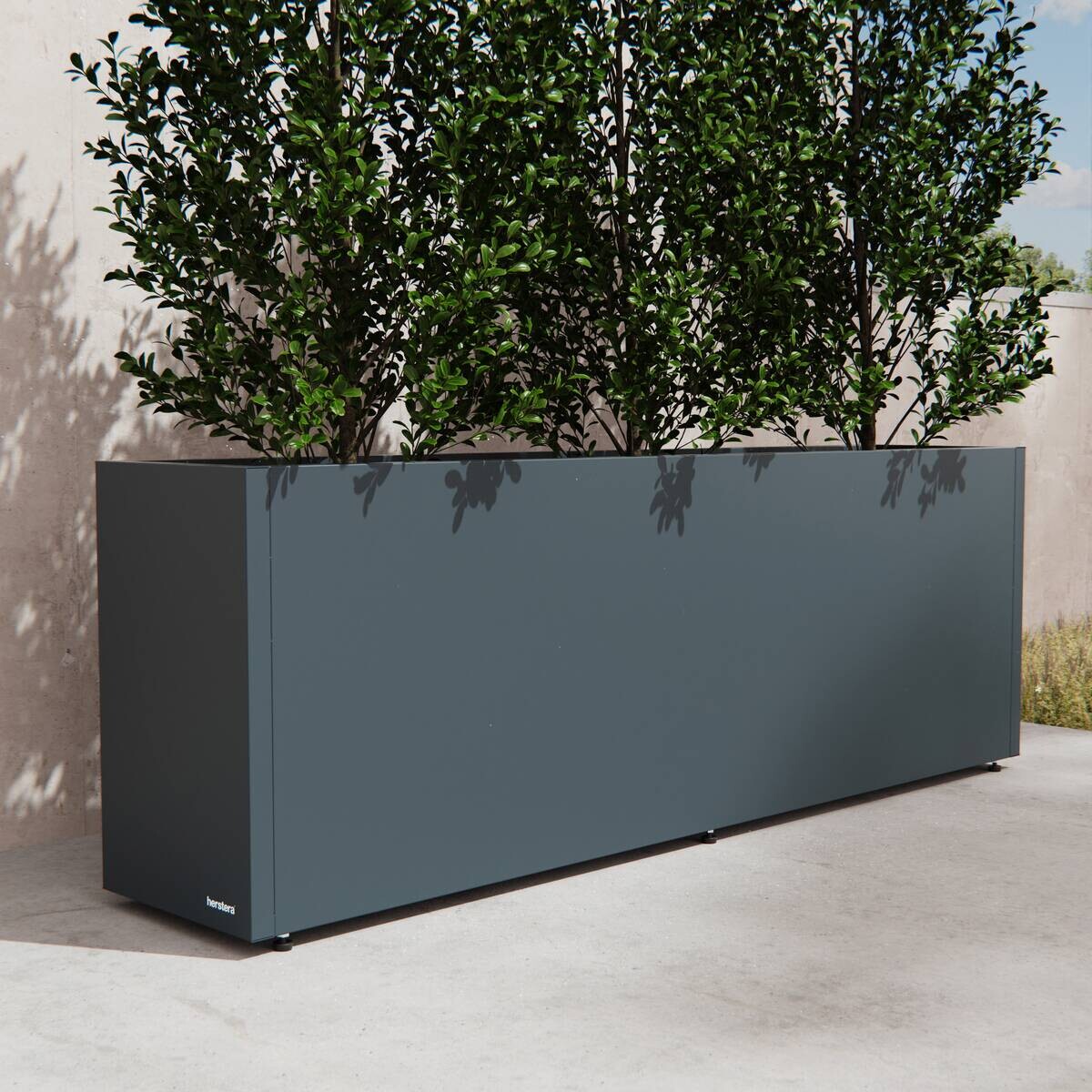 Herstera Garden Pflanzkübel Cube anthrazit Metall B/H/L: ca. 150x50x30 cm