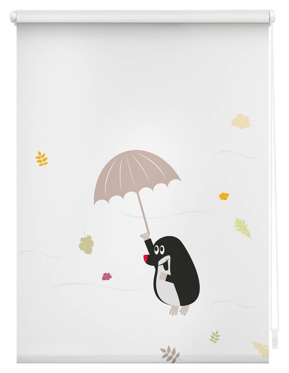 LICHTBLICK Rollo Maulwurf bunt B/L: ca. 70x150 cm