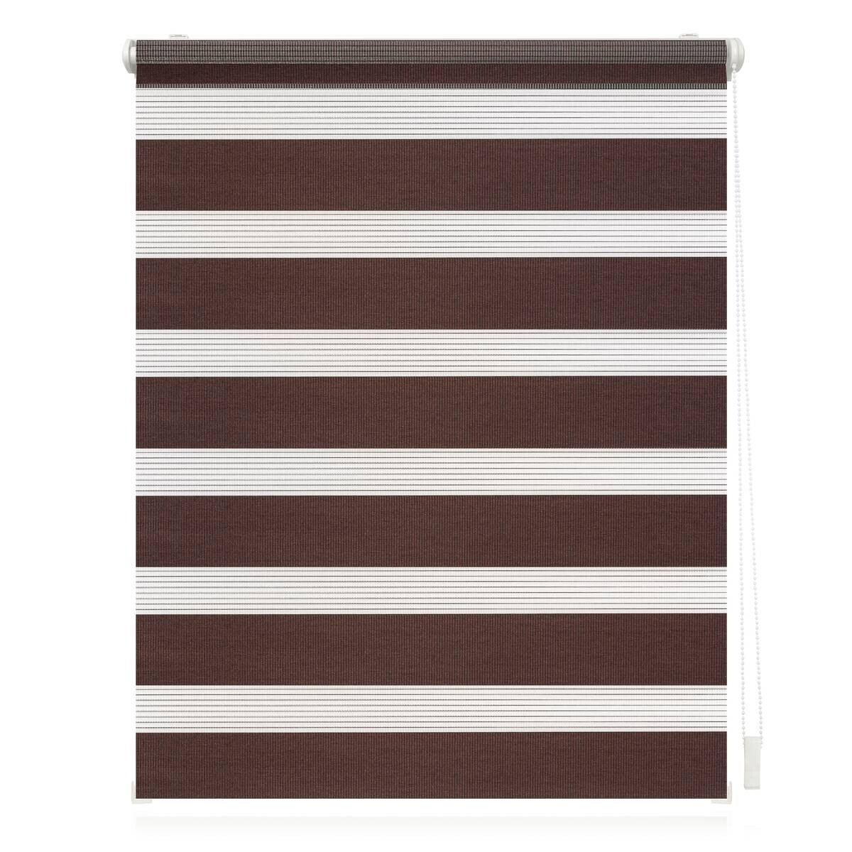 LICHTBLICK Doppelrollo Duo dunkelbraun B/L: ca. 55x150 cm