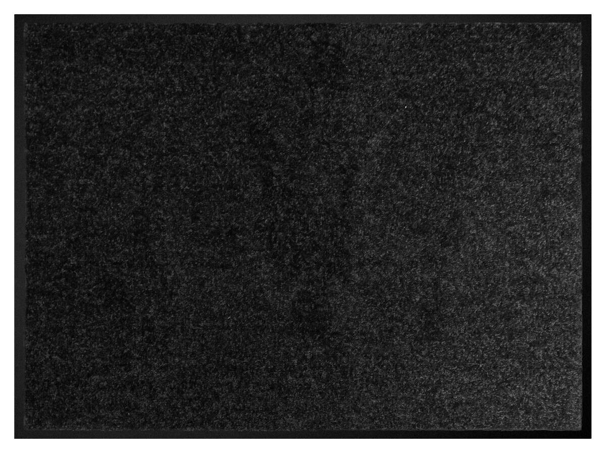 Schmutzfangmatte Alpha schwarz B/L: ca. 80x120 cm