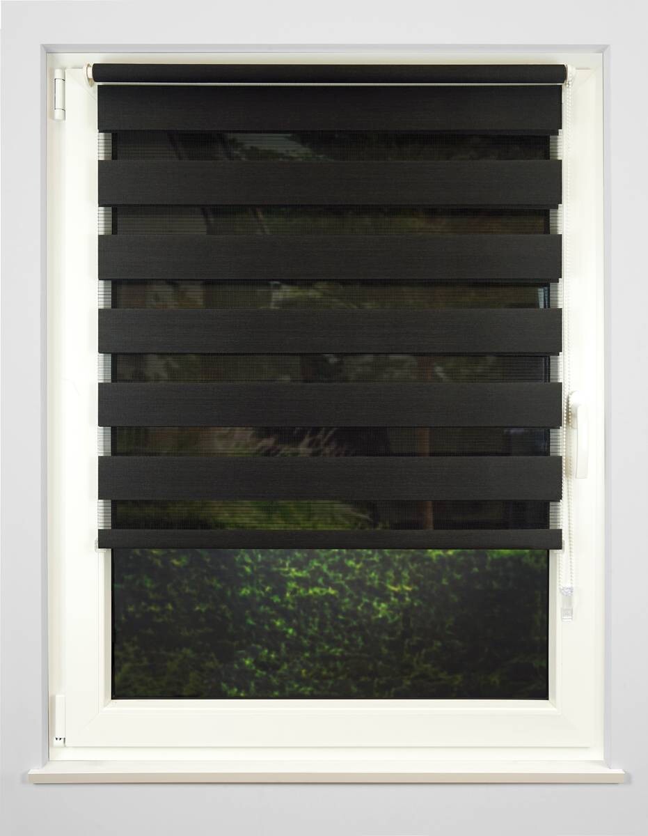 Doppelrollo Just anthrazit B/L: ca. 140x160 cm